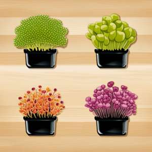 A Comprehensive Guide to Seed Selection for Your Microgreen Garden